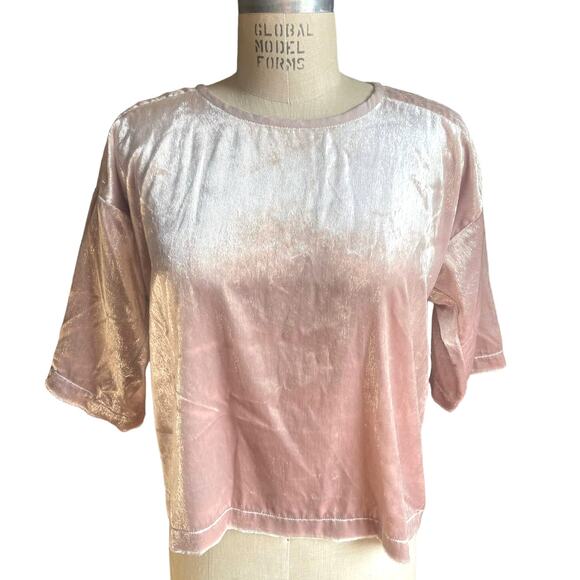 Xirena Bijoux Top in Pink Sparkle Velvet Size XS X-Small - Picture 1 of 8